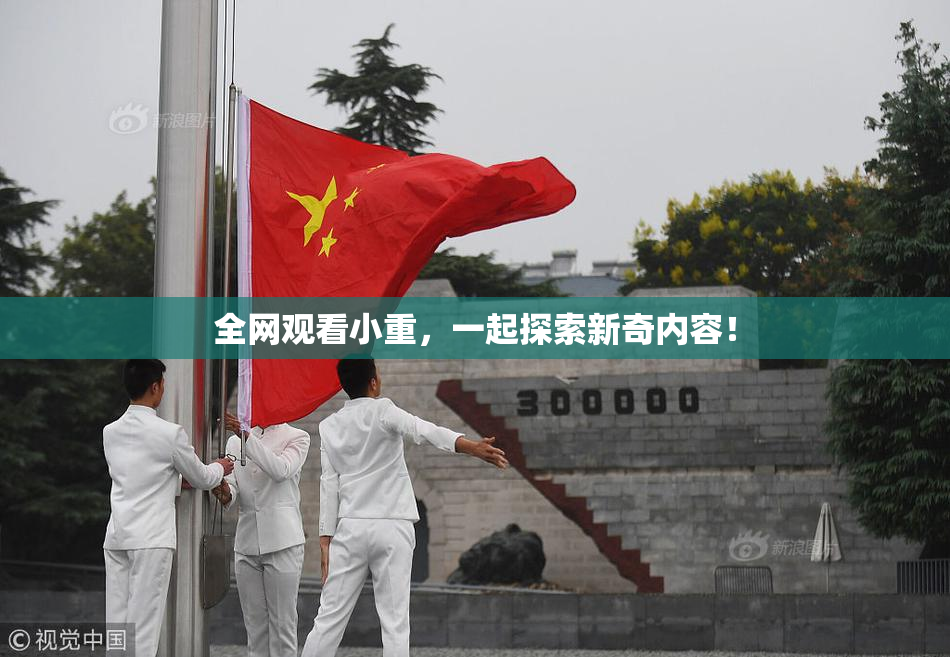 全网观看小重，一起探索新奇内容！