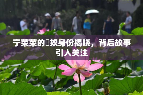 宁荣荣的婬奴身份揭晓，背后故事引人关注