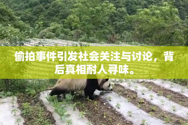 偷拍事件引发社会关注与讨论，背后真相耐人寻味。