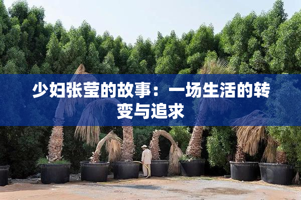 少妇张莹的故事：一场生活的转变与追求