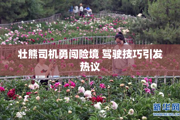 壮熊司机勇闯险境 驾驶技巧引发热议