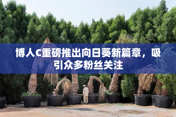 博人C重磅推出向日葵新篇章，吸引众多粉丝关注