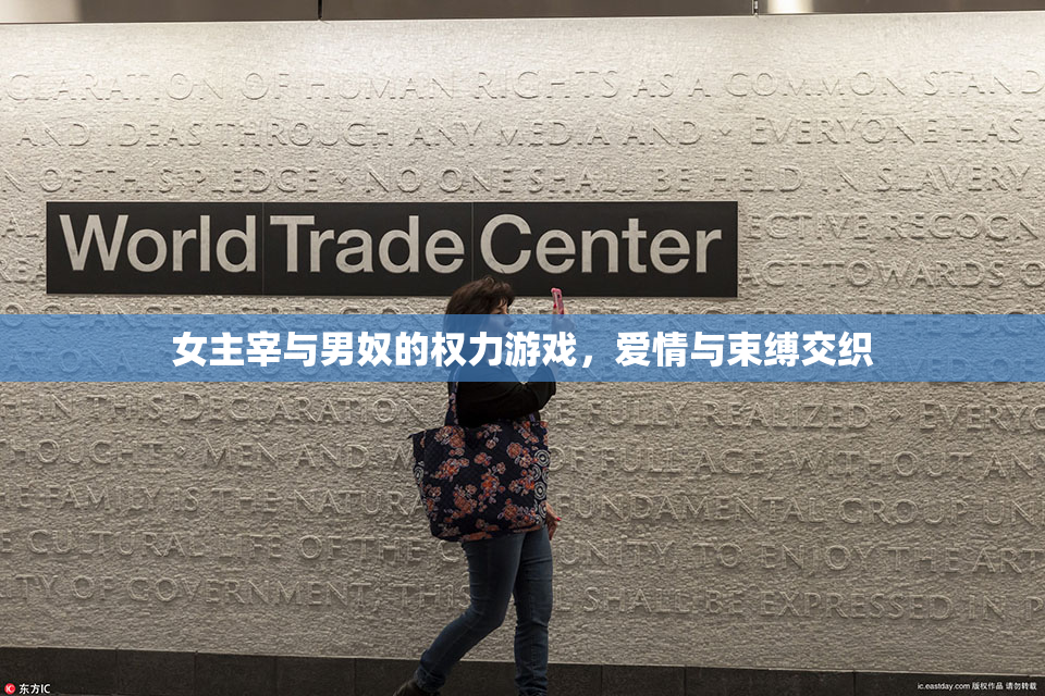 女主宰与男奴的权力游戏，爱情与束缚交织