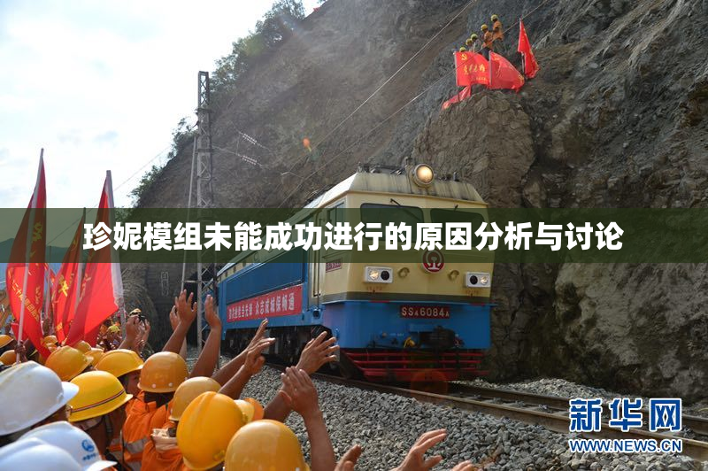 珍妮模组未能成功进行的原因分析与讨论