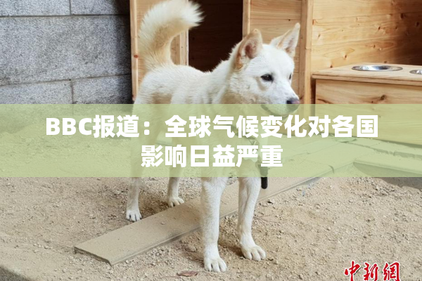 BBC报道：全球气候变化对各国影响日益严重