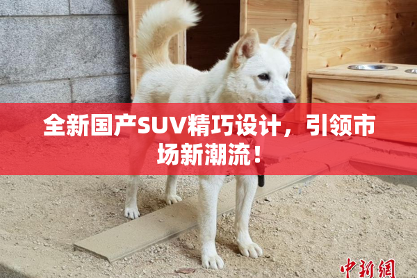 全新国产SUV精巧设计，引领市场新潮流！