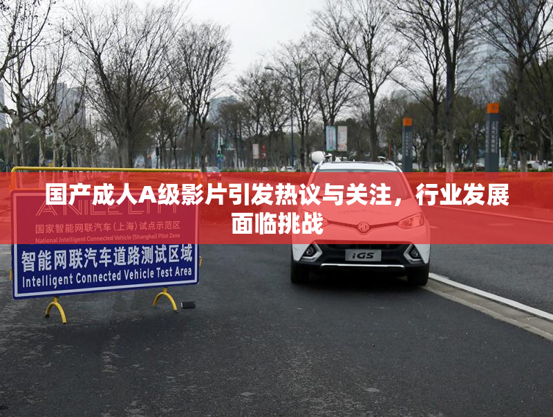 国产成人A级影片引发热议与关注，行业发展面临挑战