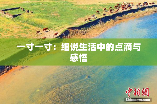 一寸一寸：细说生活中的点滴与感悟