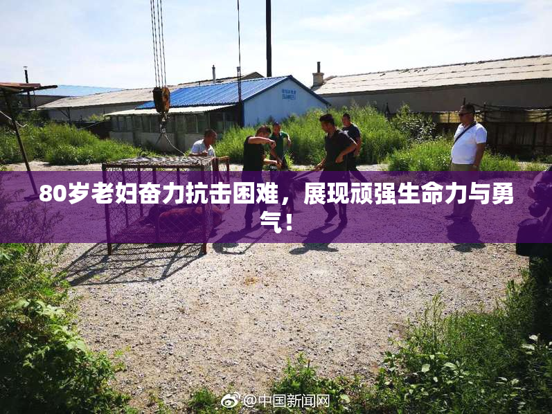 80岁老妇奋力抗击困难，展现顽强生命力与勇气！