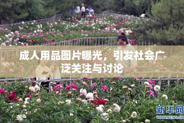 成人用品图片曝光，引发社会广泛关注与讨论