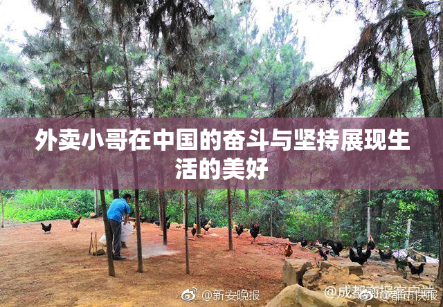 外卖小哥在中国的奋斗与坚持展现生活的美好