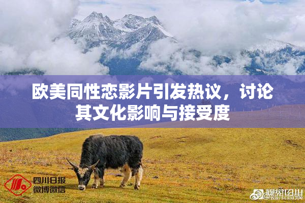 欧美同性恋影片引发热议，讨论其文化影响与接受度