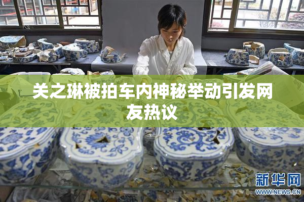 关之琳被拍车内神秘举动引发网友热议