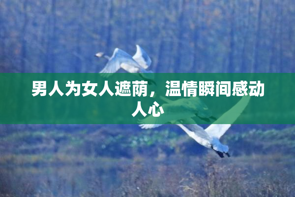 男人为女人遮荫，温情瞬间感动人心
