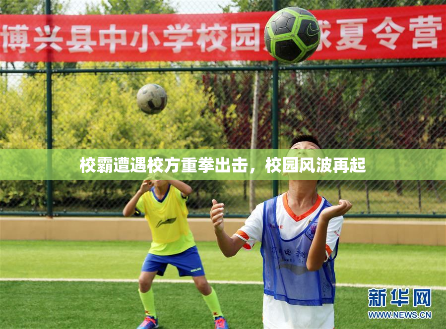 校霸遭遇校方重拳出击，校园风波再起