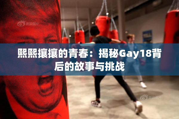 熙熙攘攘的青春：揭秘Gay18背后的故事与挑战