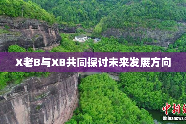 X老B与XB共同探讨未来发展方向