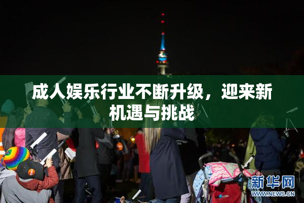 成人娱乐行业不断升级，迎来新机遇与挑战