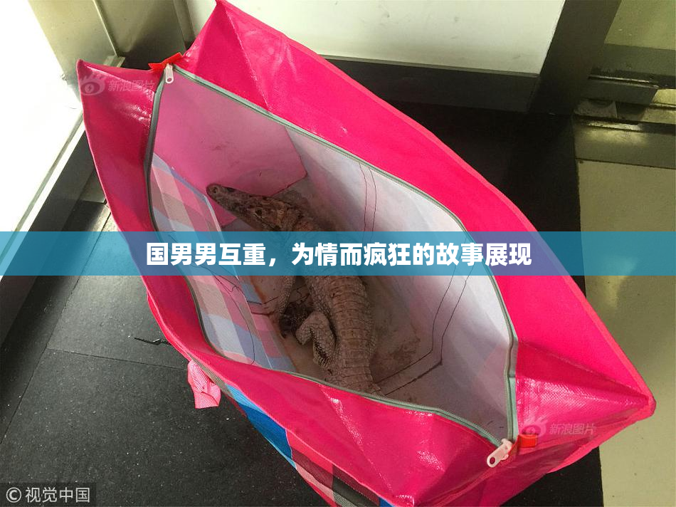 国男男互重，为情而疯狂的故事展现