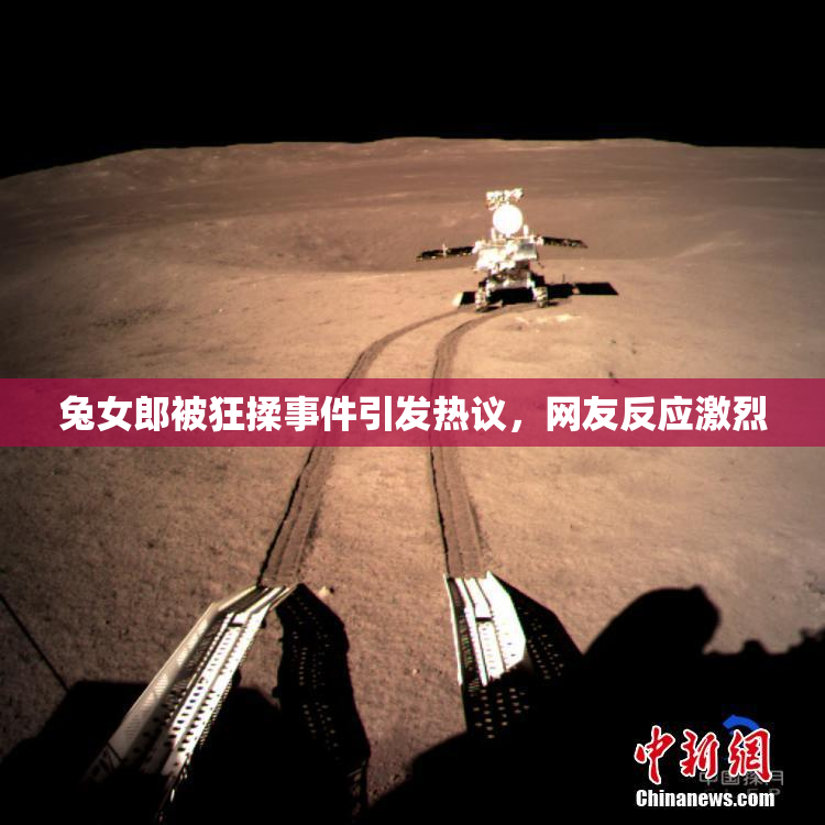 兔女郎被狂揉事件引发热议，网友反应激烈