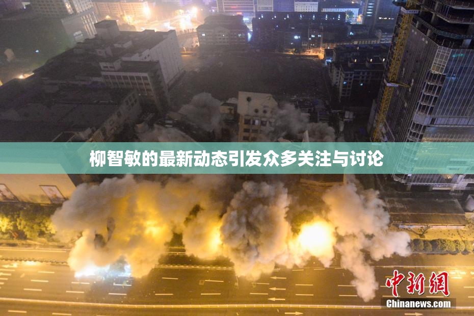 柳智敏的最新动态引发众多关注与讨论