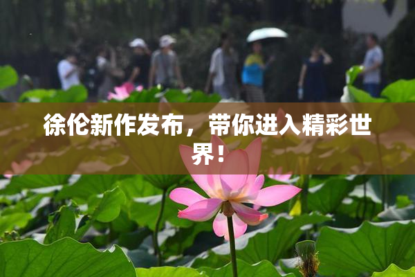 徐伦新作发布，带你进入精彩世界！