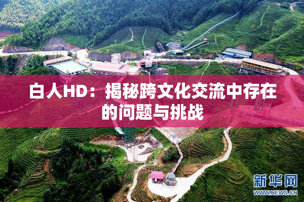 白人HD：揭秘跨文化交流中存在的问题与挑战