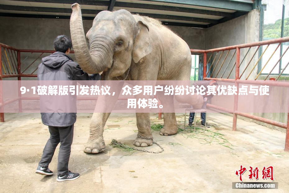 9·1破解版引发热议，众多用户纷纷讨论其优缺点与使用体验。