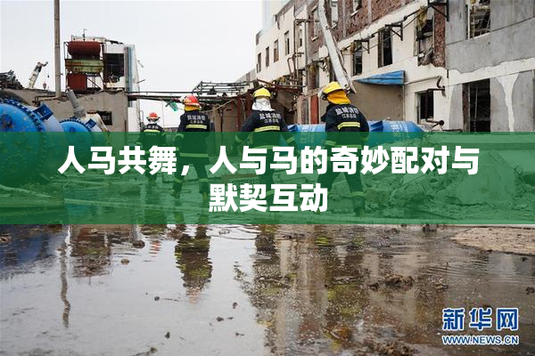 人马共舞，人与马的奇妙配对与默契互动