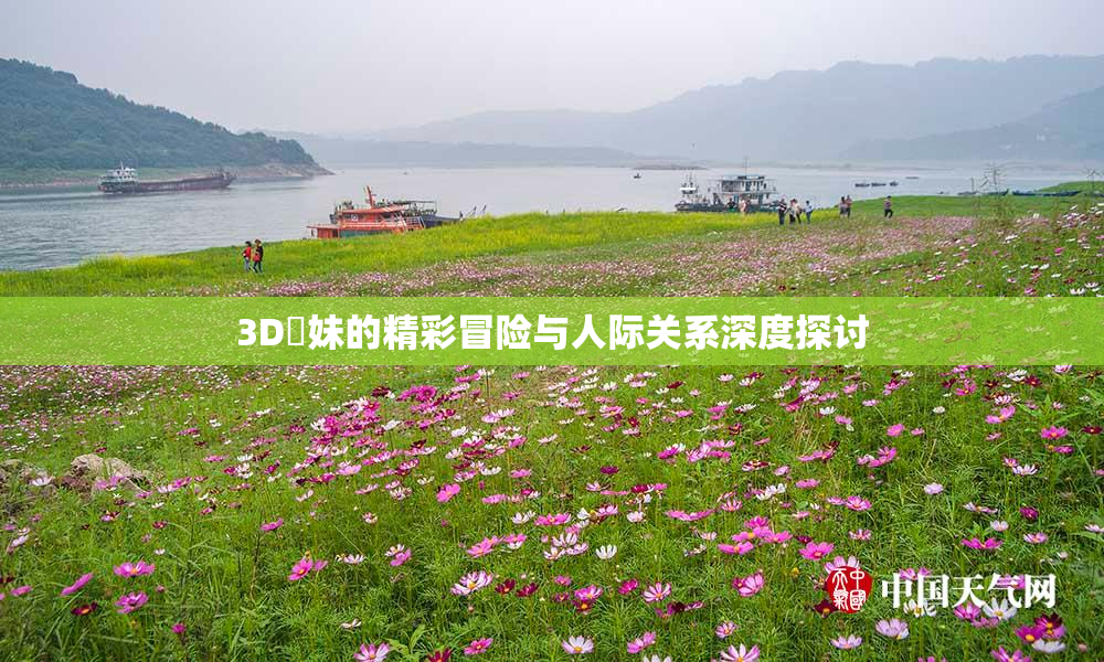 3D姉妹的精彩冒险与人际关系深度探讨