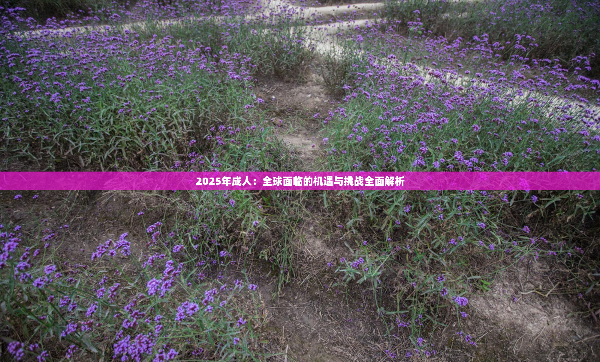 2025年成人：全球面临的机遇与挑战全面解析