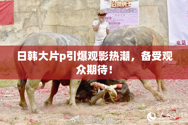 日韩大片p引爆观影热潮，备受观众期待！