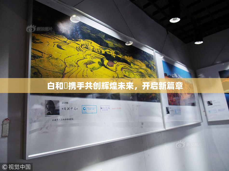 白和晄携手共创辉煌未来，开启新篇章