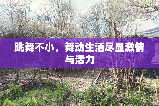 跳舞不小，舞动生活尽显激情与活力