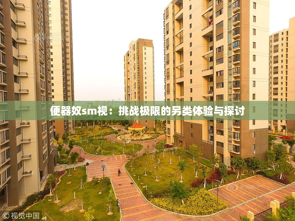 便器奴sm视：挑战极限的另类体验与探讨