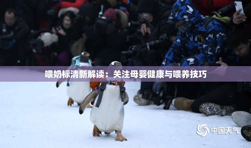 喂奶标清新解读：关注母婴健康与喂养技巧
