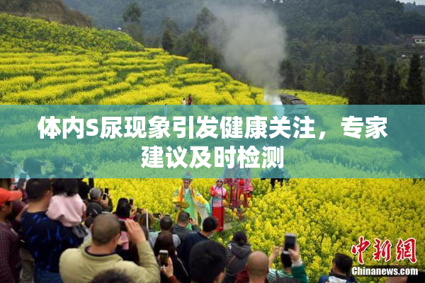 体内S尿现象引发健康关注，专家建议及时检测