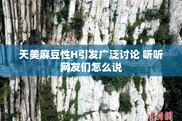 天美麻豆性H引发广泛讨论 听听网友们怎么说