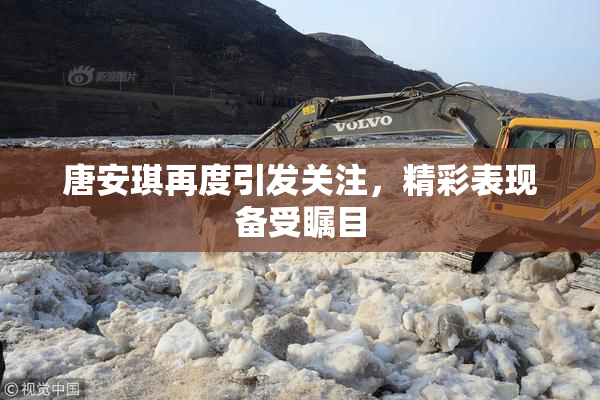 唐安琪再度引发关注，精彩表现备受瞩目