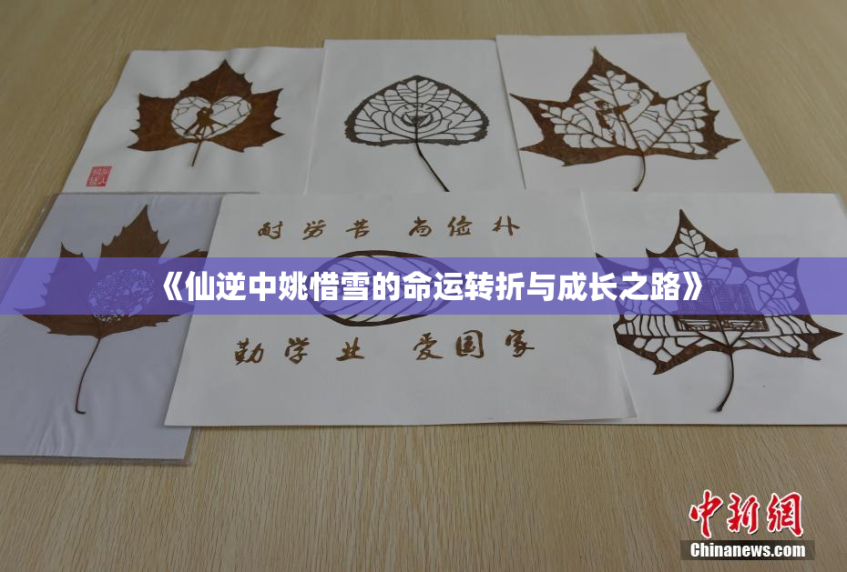 《仙逆中姚惜雪的命运转折与成长之路》