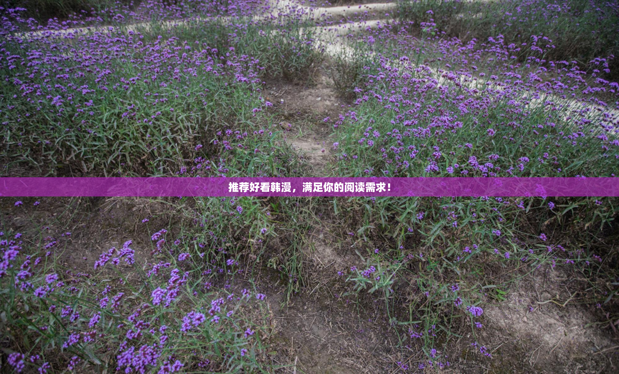 推荐好看韩漫，满足你的阅读需求！