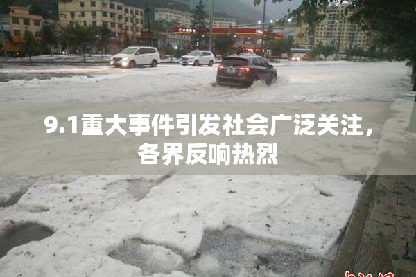 9.1重大事件引发社会广泛关注，各界反响热烈