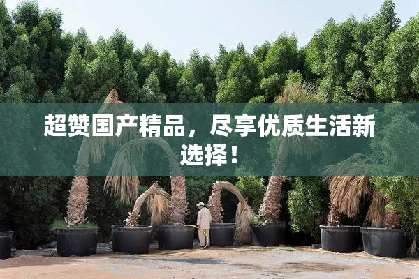 超赞国产精品，尽享优质生活新选择！