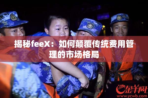 揭秘feeX：如何颠覆传统费用管理的市场格局