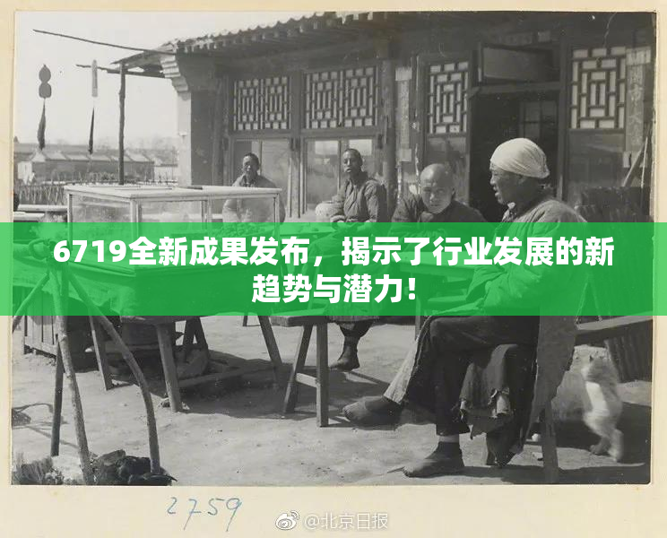 6719全新成果发布，揭示了行业发展的新趋势与潜力！