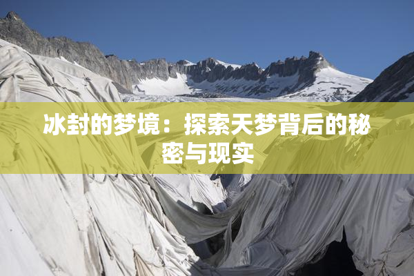 冰封的梦境：探索天梦背后的秘密与现实