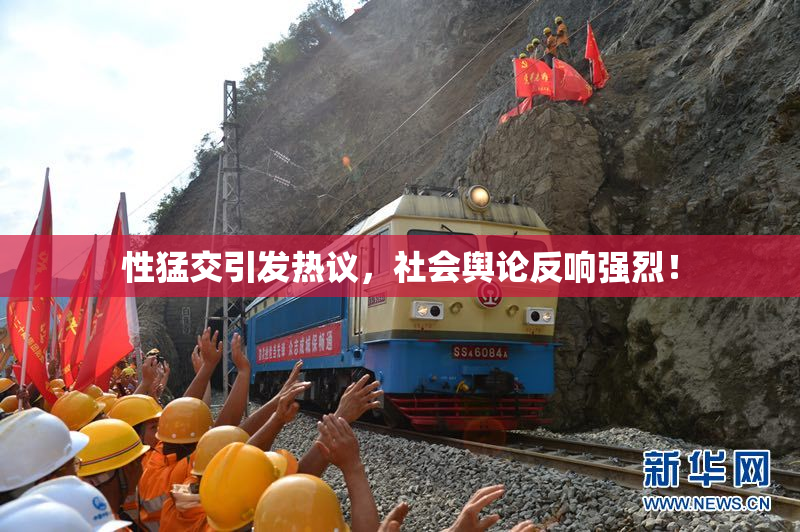 性猛交引发热议，社会舆论反响强烈！