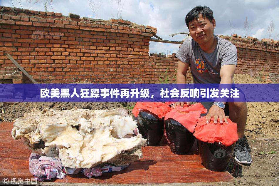 欧美黑人狂躁事件再升级，社会反响引发关注