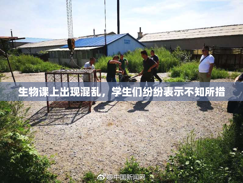 生物课上出现混乱，学生们纷纷表示不知所措