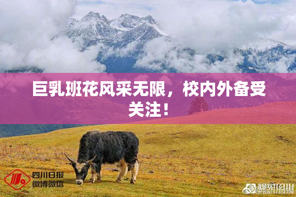 巨乳班花风采无限，校内外备受关注！